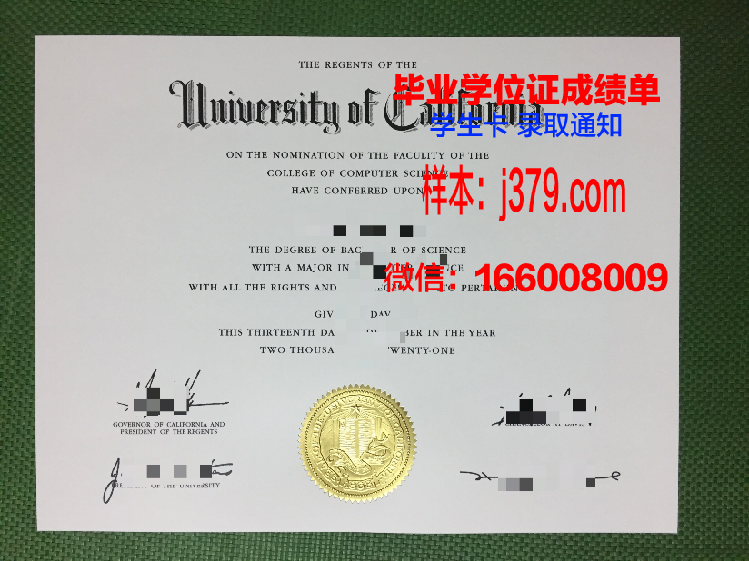 南方大学新奥尔良分校毕业学位