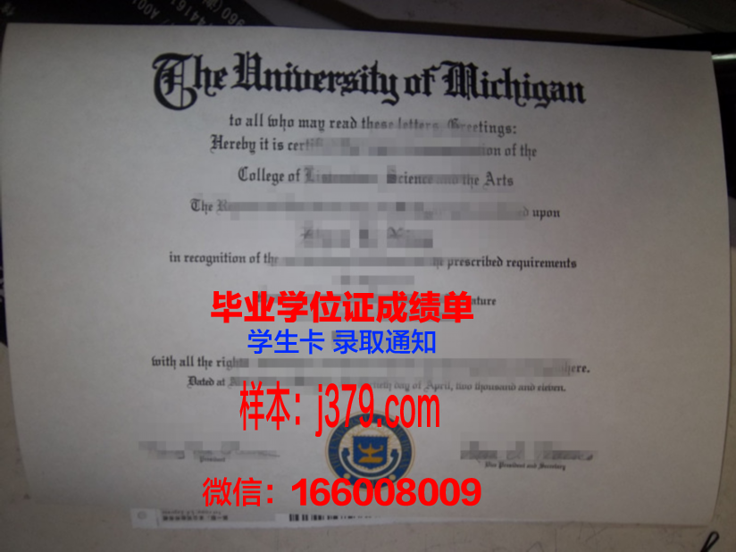 蒙特埃里森大学本科毕业证(蒙特利尔大学毕业证)