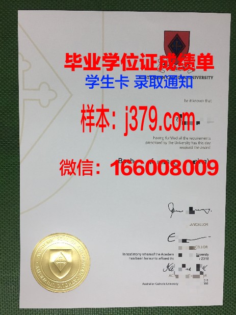 天主教大成绩单：信仰的力量，文明的贡献