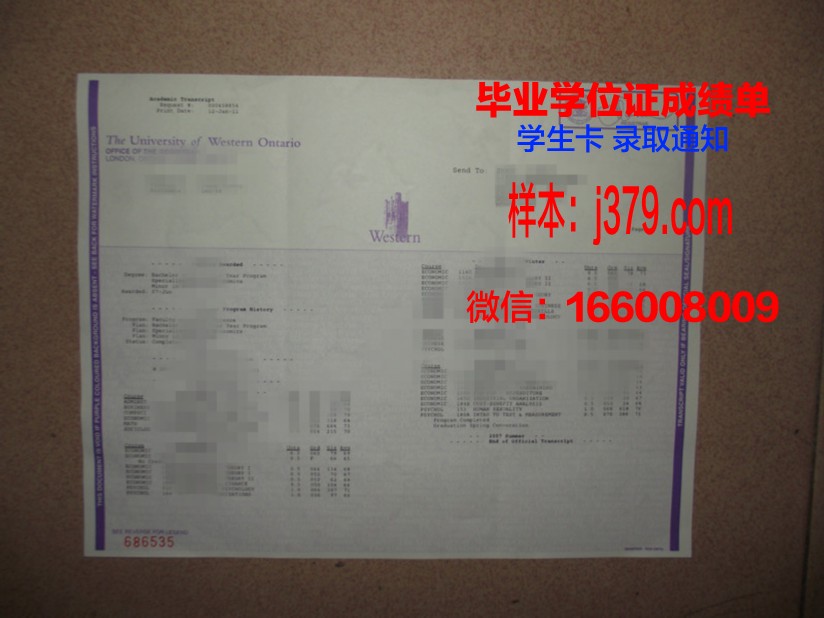 大略学位成绩单定制：探索教育领域的个性化服务