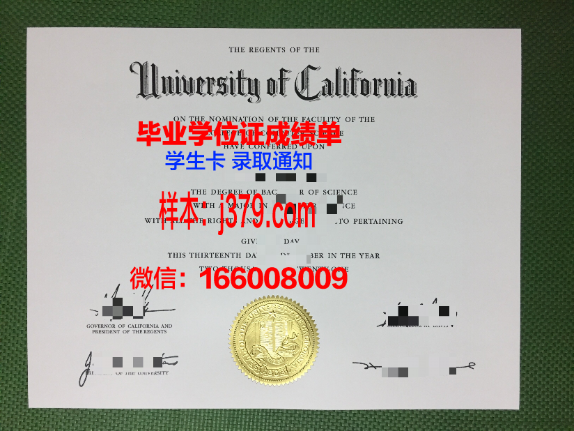 藤女子大学毕业证认证成绩单Diploma