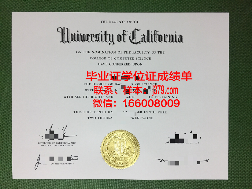 大学毕业证真伪查询系统(大学毕业证真伪查询系统官网)