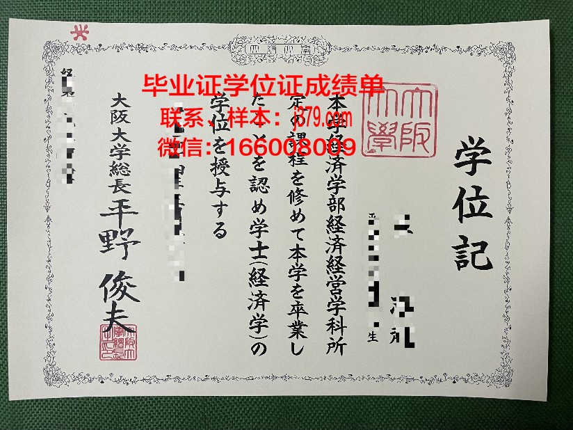 大阪信息计算机专门学校学位成绩单定制：探索教育服务的新领域