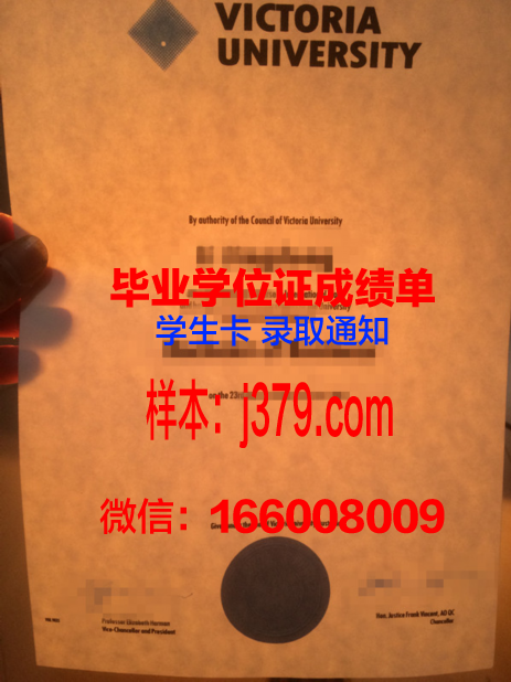 大维毕业证：一张承载梦想与奋斗的纸