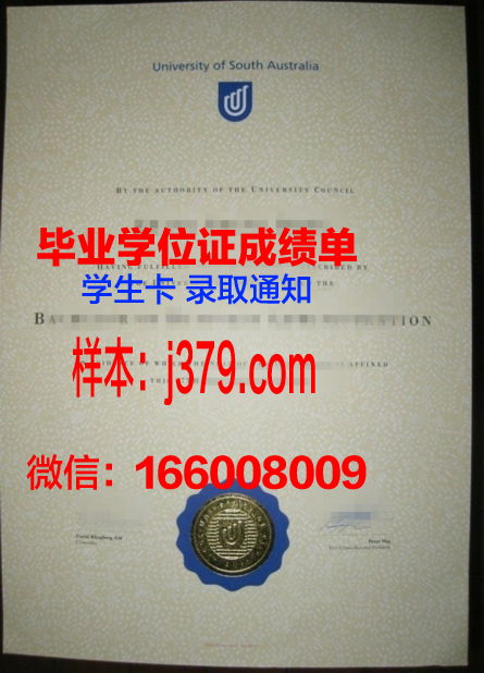 南澳大学毕业证书(南澳大学毕业时间)