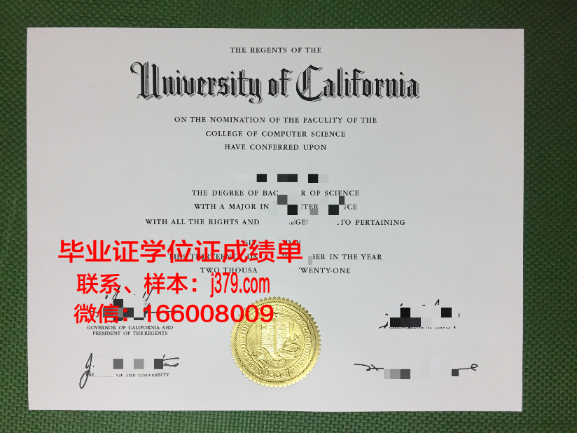 南澳大利亚技术与继续教育学院博士毕业证(南澳大学毕业证回国认可吗)