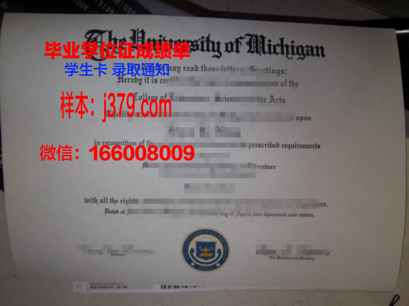 西伯利亚商业与信息技术学院本科毕业证(西伯利亚冶金学院)