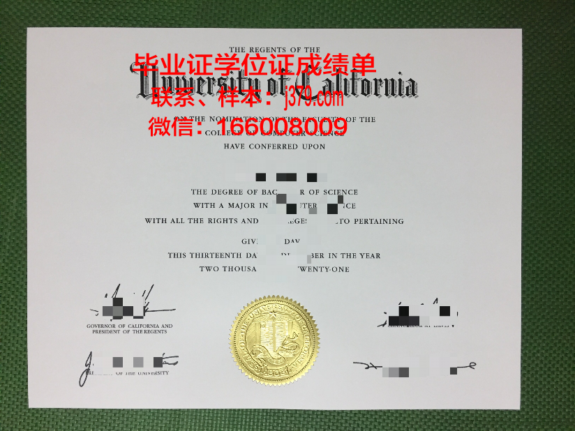 南十字星大学毕业证Diploma文凭成绩单