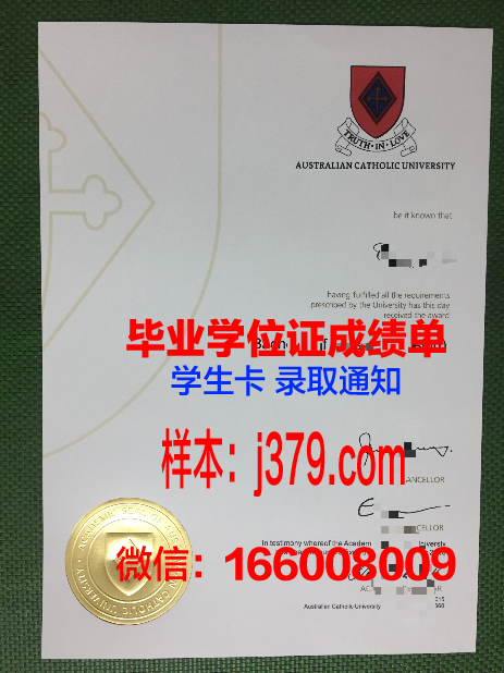天主教大成绩单：信仰的力量，文明的贡献