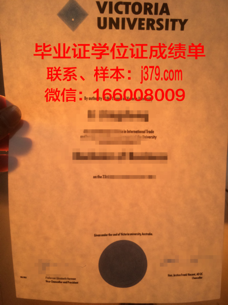 大维博士毕业证：一纸证书背后的故事