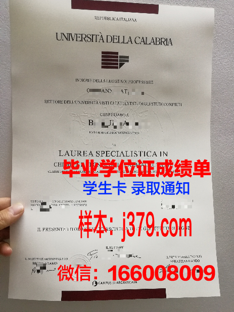 雷焦卡拉布里亚美术学院博士毕业证：艺术与学术的融合典范
