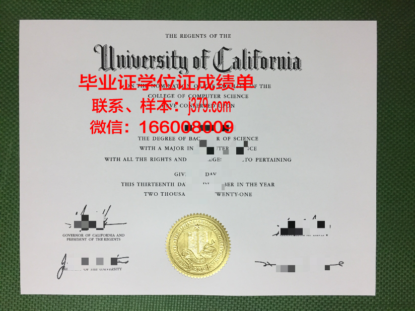 综合理工学院毕业证等级(综合理工学院毕业证等级怎么填)