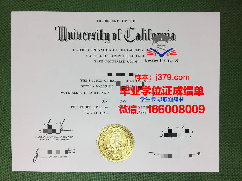 阿道夫·伊瓦涅斯大学毕业证长什么样