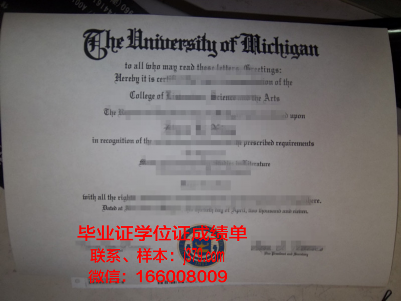 维纳雅卡大学 diploma 毕业证