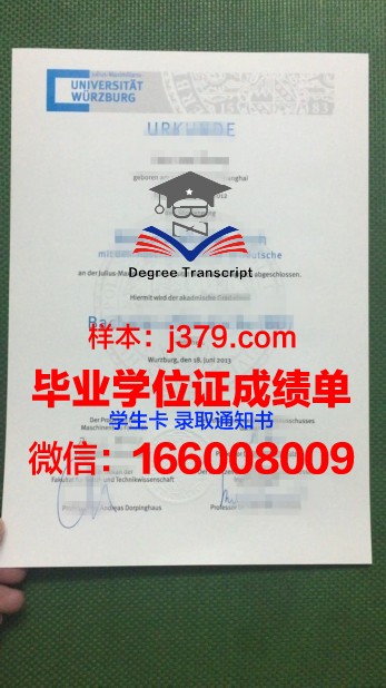 维尔茨堡大学的毕业证啥样(德国维尔茨堡大学怎么样)
