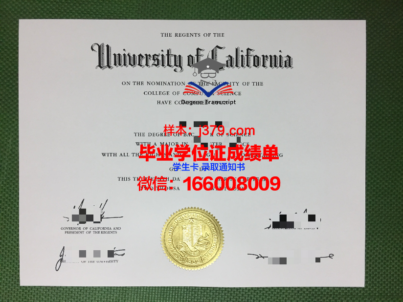 维塞乌理工学院毕业证高清图