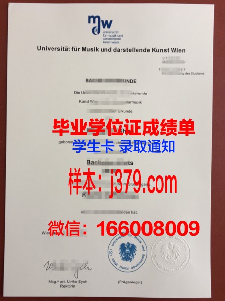 维也纳经济大学毕业文凭