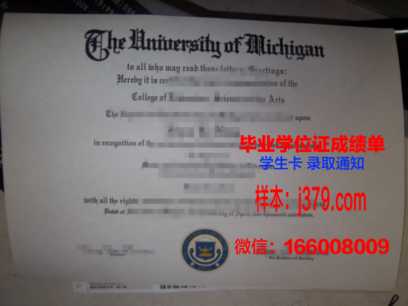 维塞乌理工学院毕业证高清图