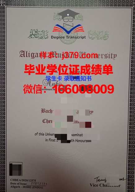 阿里格尔穆斯林大学毕业证
