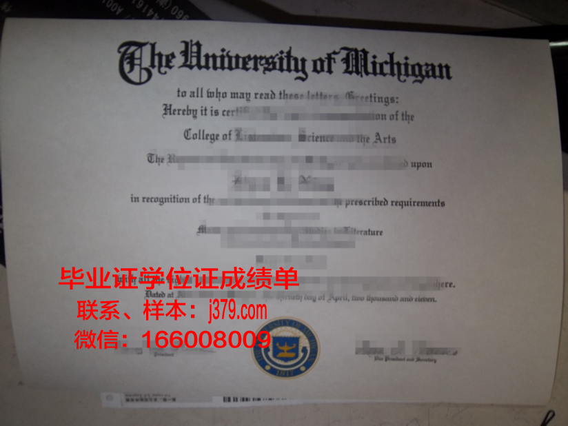 雅西国立艺术大学本科毕业证：承载梦想的证书，开启未来之门