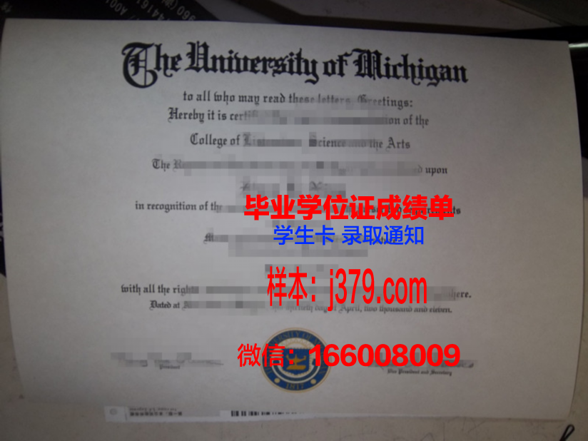 维戈U硕士毕业证：一张承载荣誉与梦想的证书