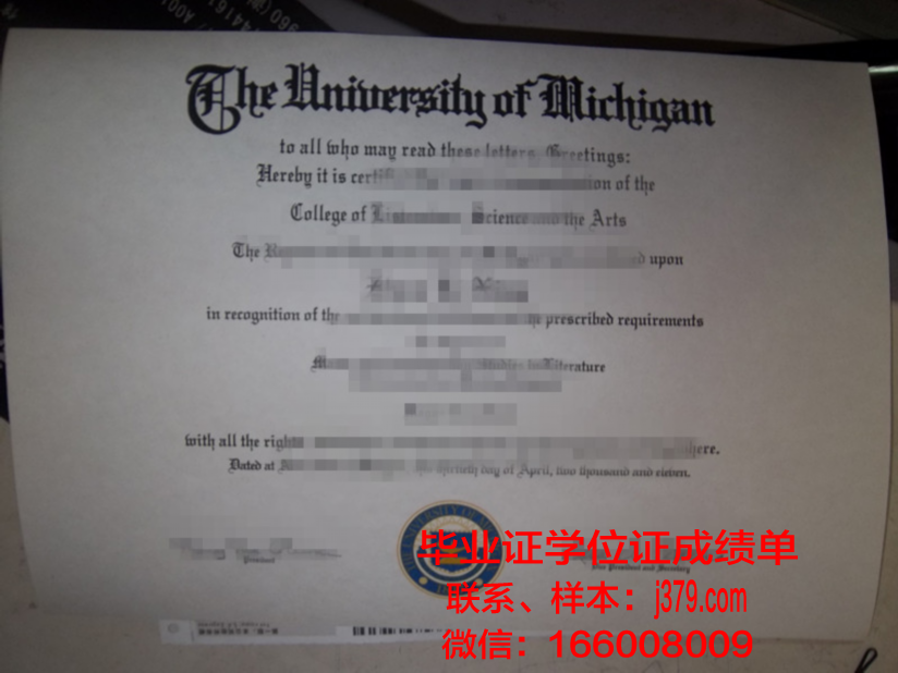 维塞乌理工学院的毕业证都能做