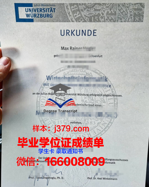 维尔茨堡大学的毕业证啥样(德国维尔茨堡大学怎么样)