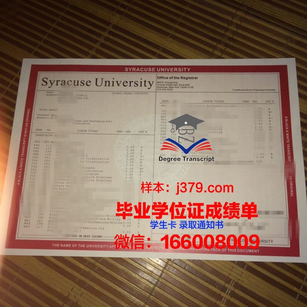 雪城学院成绩单：一份见证成长与奋斗的证明
