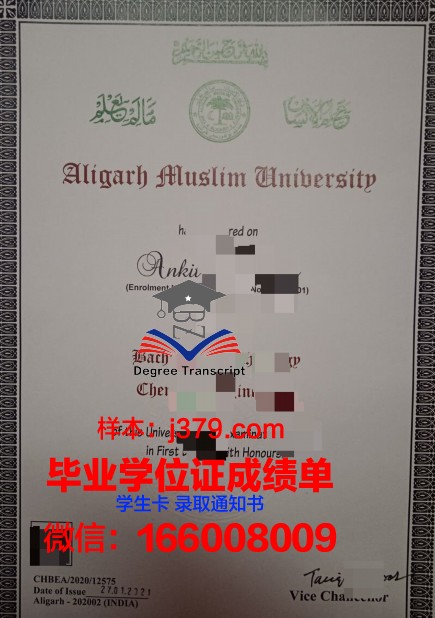 阿里格尔穆斯林大学成绩单：学术卓越与多元文化的融合