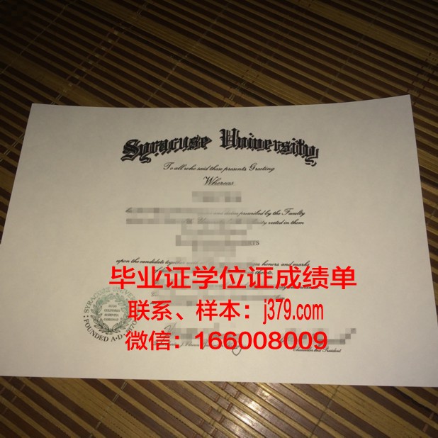 雪城学院成绩单：一份见证成长与奋斗的证明