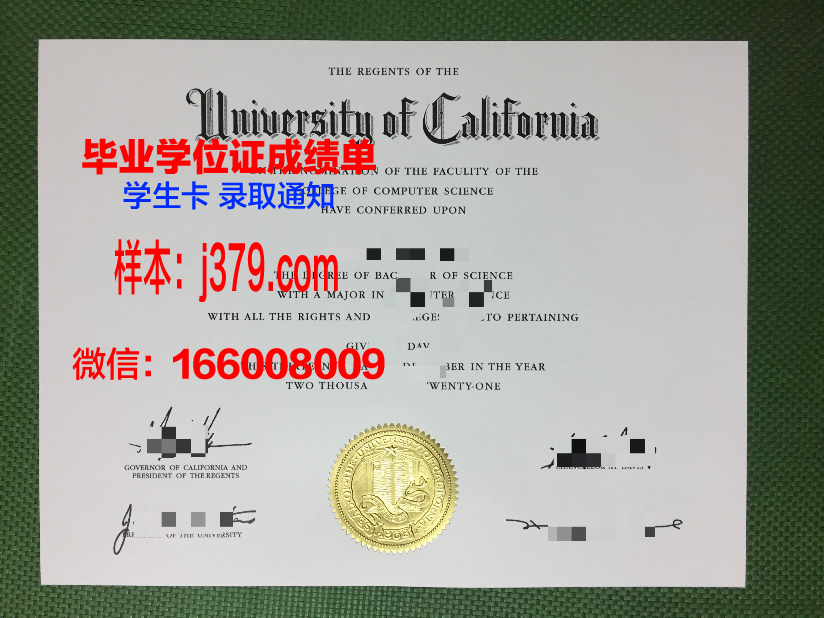 霍林斯大学博士毕业证：一份荣誉与努力的见证