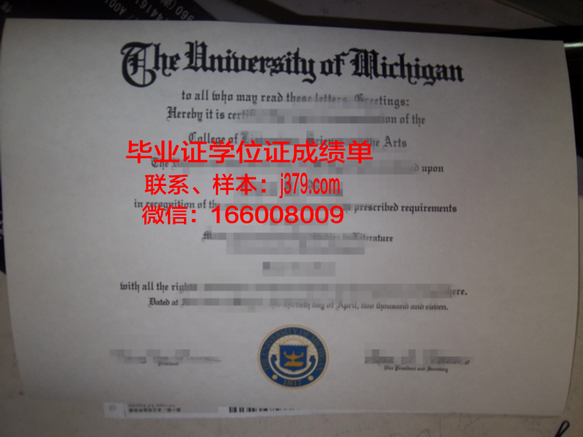 阿菲恩科塔特佩大学毕业证定制：探索伪造学历背后的真相
