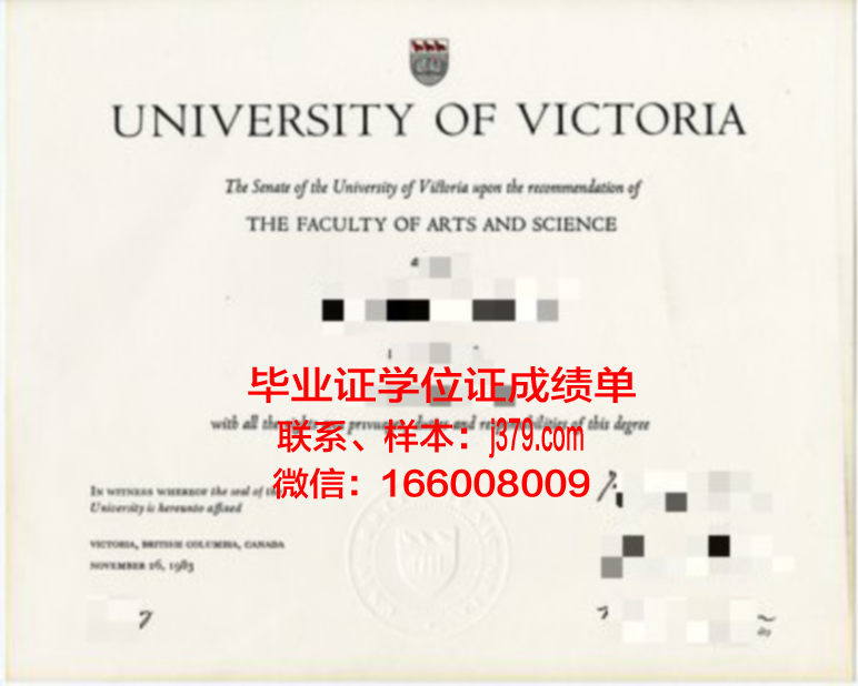 维多利亚成绩单：揭示教育制度下的反思与启示