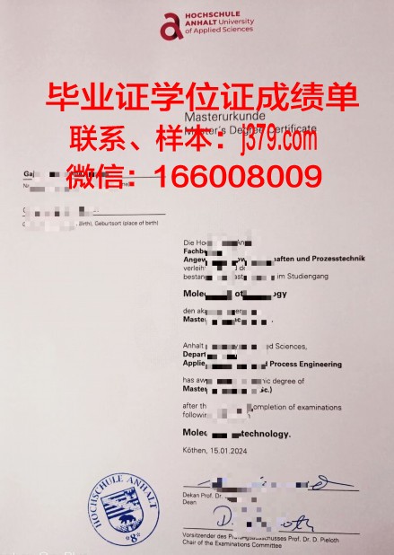 维尔道工程应用技术大学硕士毕业证(德国维尔道工程应用技术大学)