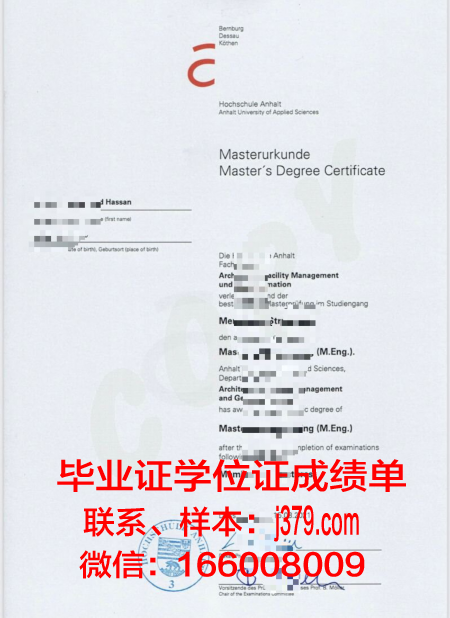 维尔道工程应用技术大学硕士毕业证(德国维尔道工程应用技术大学)