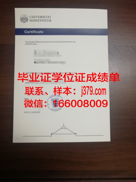霍恩海姆大学毕业证书原件(霍恩海姆大学经济学)