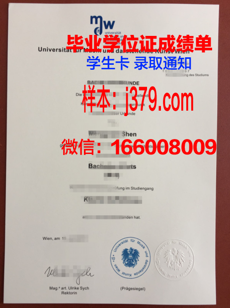 维也纳大成绩单：音乐的盛宴，人类文明的瑰宝