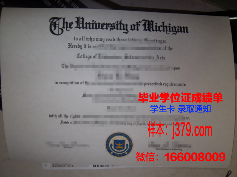 霍林斯大学博士毕业证：一份荣誉与努力的见证