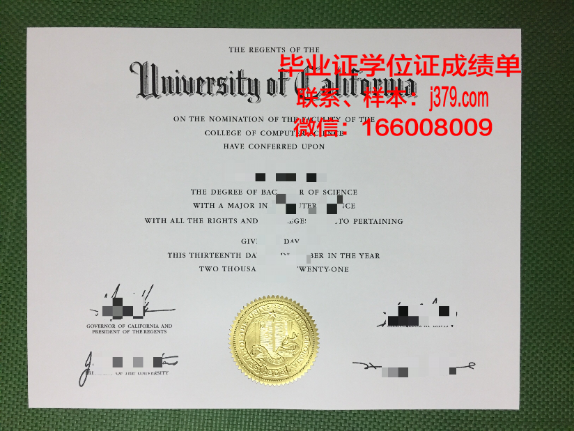 维戈大学毕业证成绩单图片(维戈大学毕业证成绩单图片)