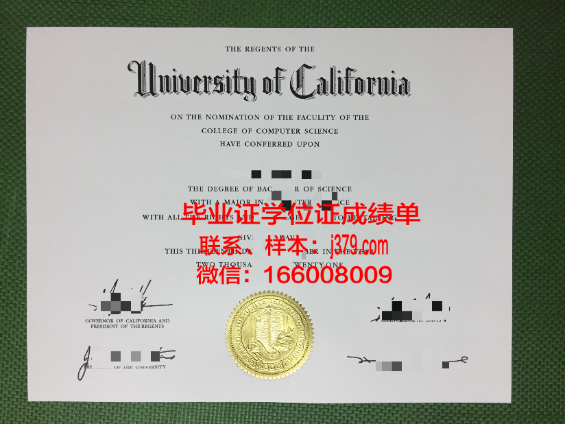 雷昂那多达芬奇高等工程师学院毕业证高清图(雷奥纳多达芬奇)