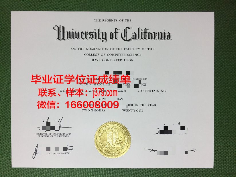 纽黑文大学毕业证diploma