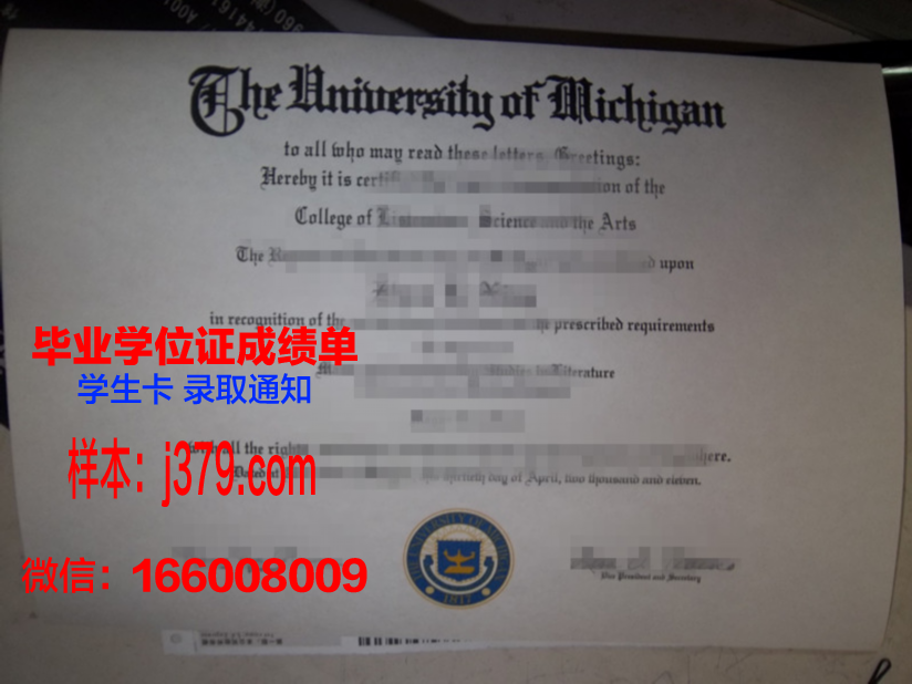 维斯瓦学院毕业证模板(维斯瓦大学)