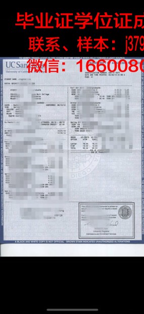 维斯大学位成绩单定制：让留学梦触手可及