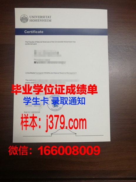 霍恩海姆大学毕业证是什么样呢(霍恩海姆大学语言要求)