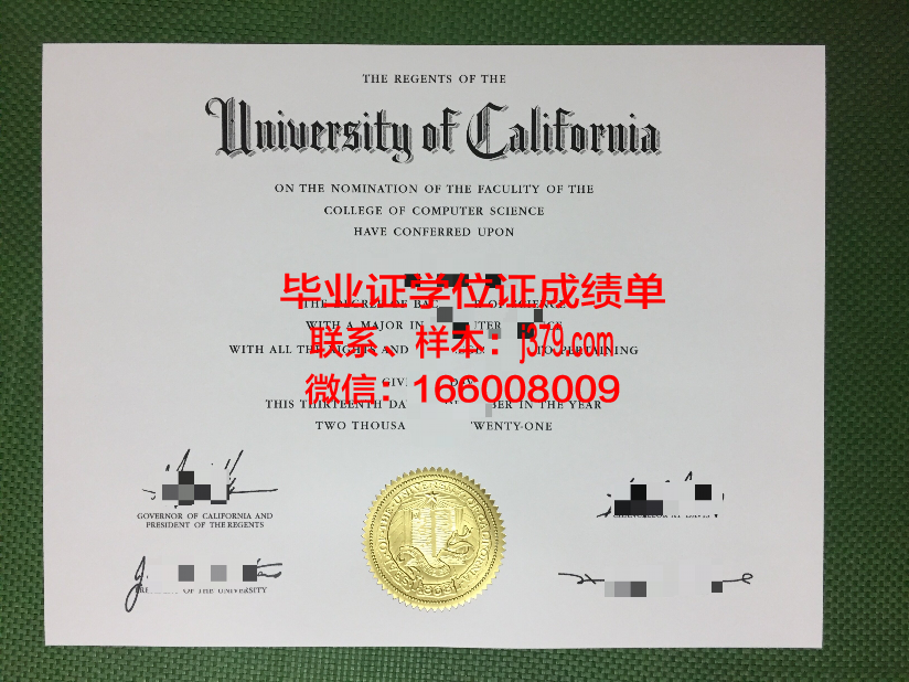 维斯马应用技术大学毕业证定制：匠心独运，承载荣誉