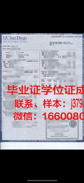 霍林斯大学成绩单：揭示教育质量与学生发展的密码