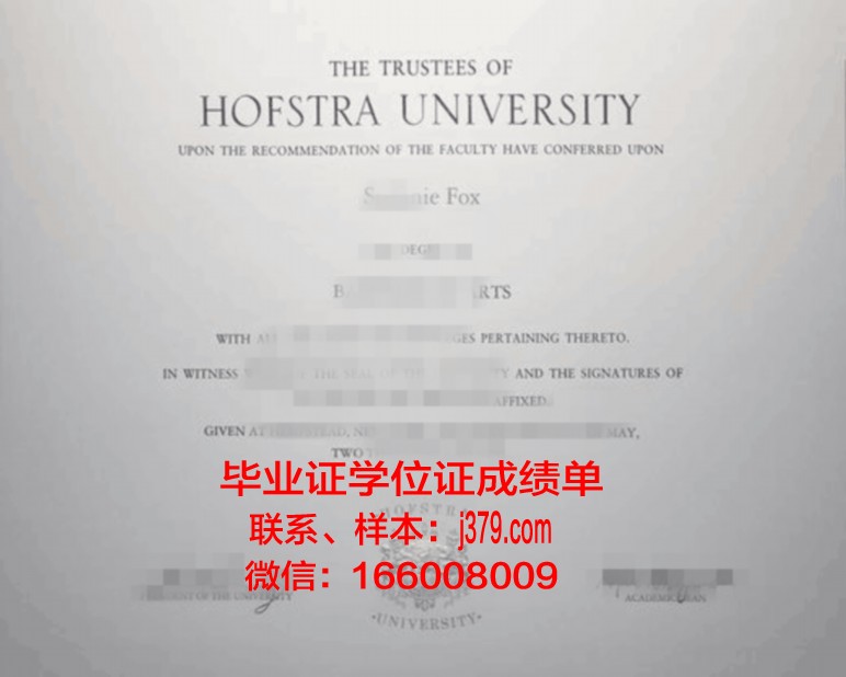 霍夫应用技术大学本科学位证：一份国际认可的学术名片