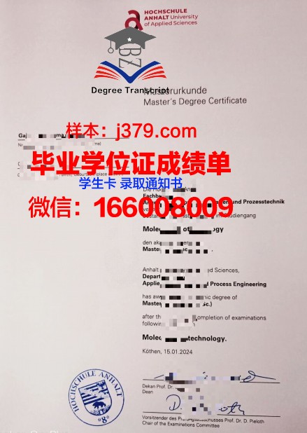 雷根斯堡应用技术大学毕业证高清图(雷根斯堡应用技术大学排名)