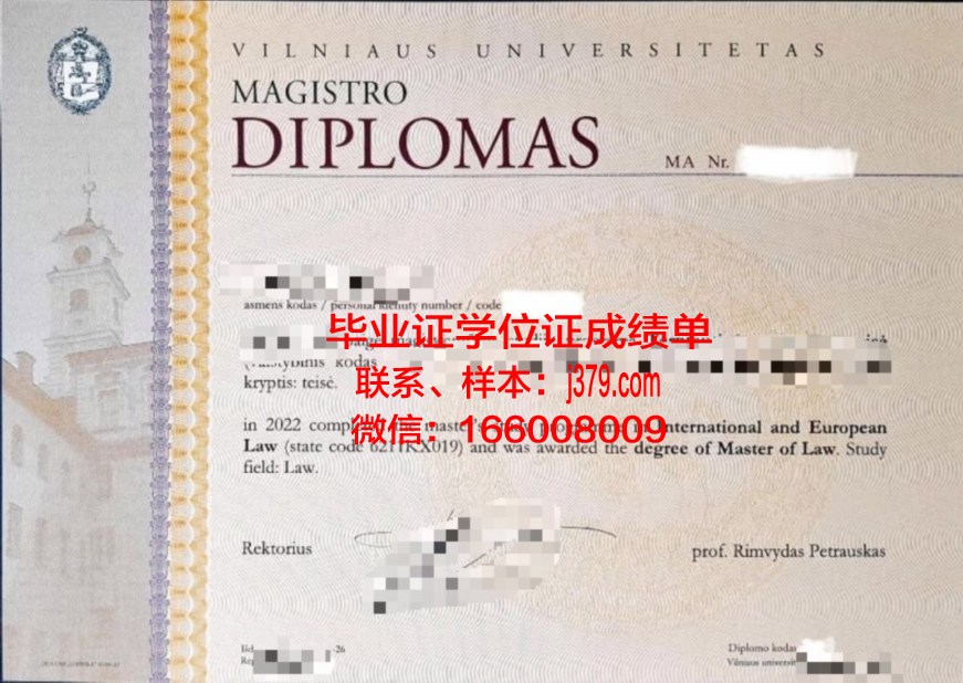 维尔纽斯大学毕业证：开启国际认可的学术之旅
