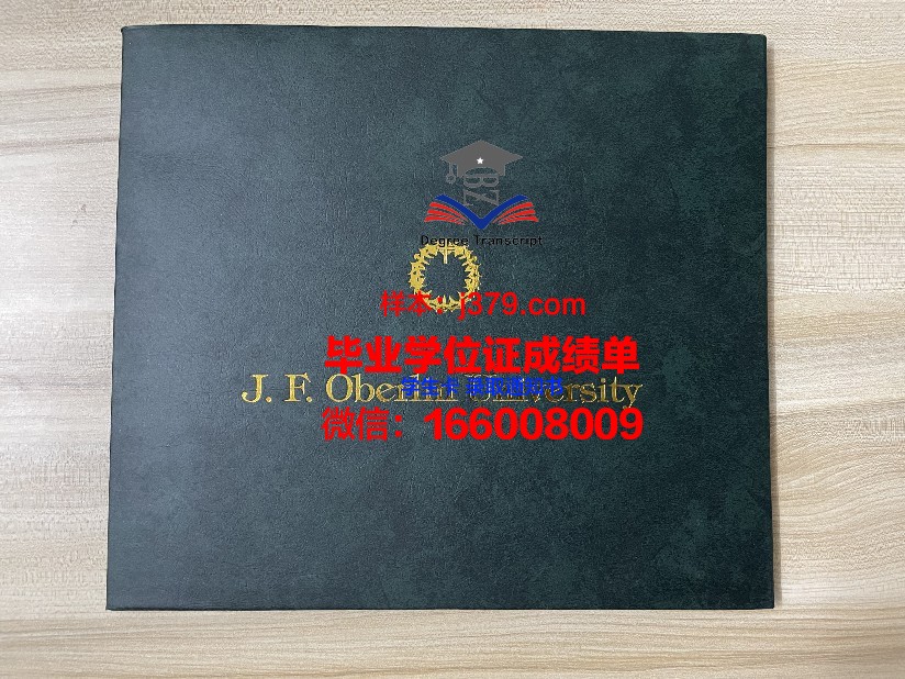 雷根斯堡大学学历证书(雷根斯堡大学怎么样)
